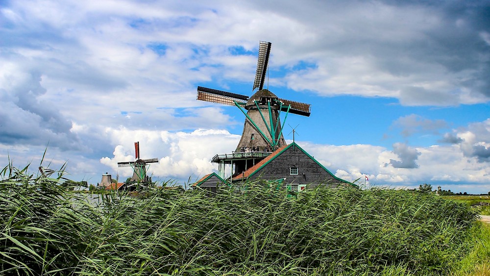 De woningmarkt in... Zaandam